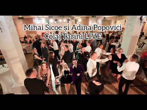 Mihai Sicoe si Adina Popovici❌ Super COLAJ DE TARINI || Nunta 2024