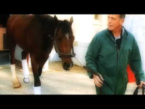 HRTV Inside Information - Barbaro