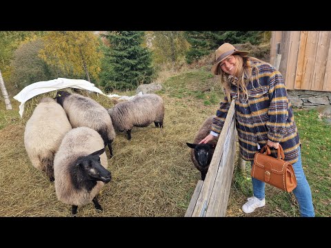 Sverresborg Trøndelag Folkemuseum 1.deo