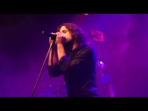 FORCED TO MODE - POLICY OF TRUTH - Live @ LaLiDo