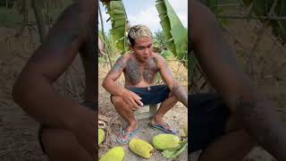 Download lagu Opening the jackfruit I ripened two days ago mp3