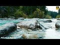 4K Relaxing River - Ultra HD Nature Video - Water Stream & Birdsong Sounds - Sleep/Study/Meditate