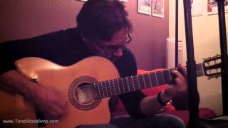 Watch Al Di Meola Trying the ToneWoodAmp