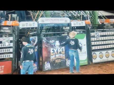 PALMEIRA DO OESTE SP ADRENALINA PURA NA FINAL EM CUTIANO E TOUROS 2025