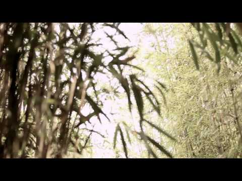 HEO YOUNG SAENG (허영생)_RAINY HEART_M/V(뮤직비디오)