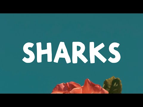 Imagine Dragons - Sharks (Lyrics)