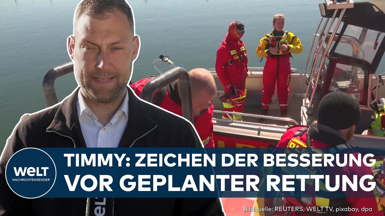 INSEL POEL: Das Wal-Rettungsdrama verschärft sich! Das sagt die Tierärztin!