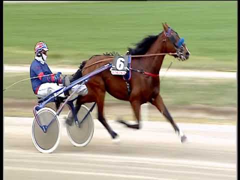 Trotto 19/03/2019 - 2ª corsa