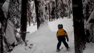 preview picture of video 'Parker Jax skiing an Adventure Trail on Bald Mountain a Sun Valley Ski Resort in Idaho 3.20.12'