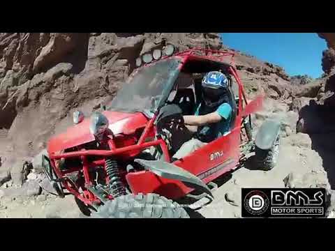 BMS 800cc V-Twin Buggy