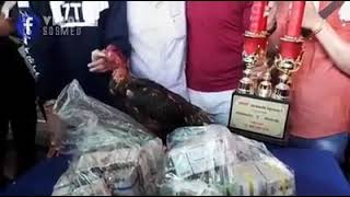 Download lagu ayam seharga mobil Pajero,dan kini telah pensiun... mp3