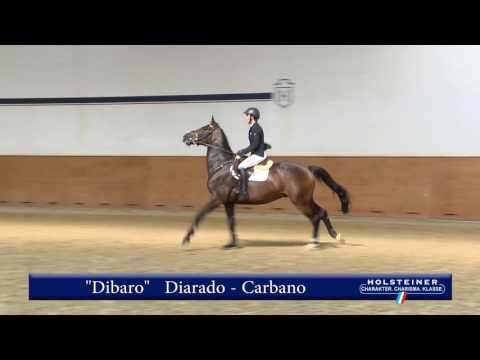 134. Dibaro v. Diarado - Carbano