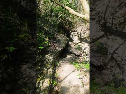 Whale Valley 2, Hengchun Township, Pingtung County #OldClimberInTheRainforest