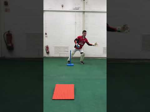 Alex Risk 1to1 4.1.2020