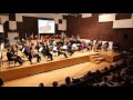 K. Sen-Sans: Karneval životinja, Labud 
