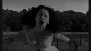 And Also The Trees - The Millpond Years