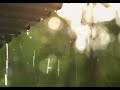 Vineeth Sreenivasan WhatsApp Status