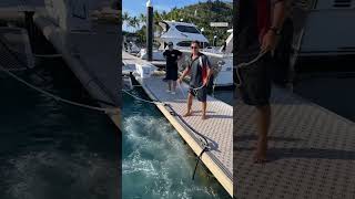 🐟 Tug of war with some hungry fish 🐟 Tug of war with some hungry fish