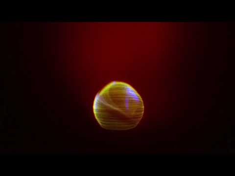 Señor Loop  - Jazz Fest (Audio Oficial)