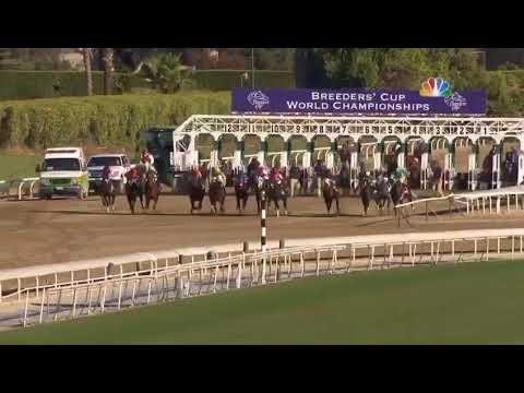 Breeders' Cup world champion winner Secret Circle