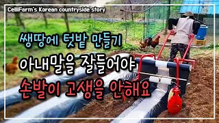 4월 텃밭을 다 만들긴 했는데 이제 여기에 뭘 심을까요? 첼리팜 시골이야기 CelliFarm's Korean…