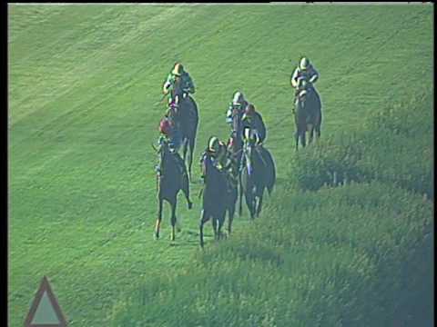 Galoppo 12/07/2017 - 6ª corsa