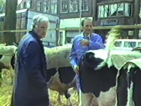 1987 Nieuwsflits mei - Hoorn: 'Voorjaarsmarkt'
