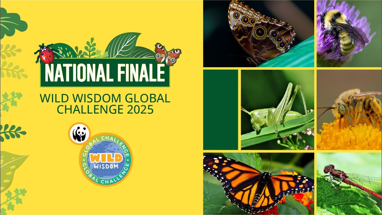 National Finale of the Wild Wisdom Global Challenge 2025