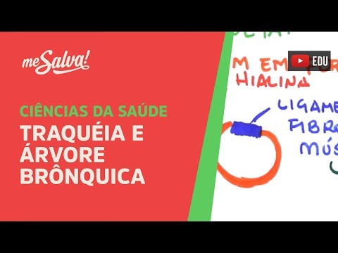 Me Salva! SRES04 - Traquéia e Árvore Brônquica - Histologia Humana