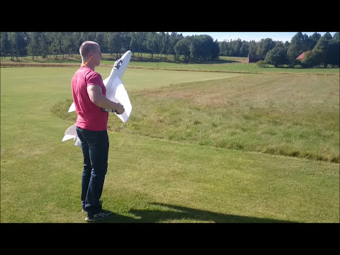 Henkes Flyfly Hunter with kolibri T-25