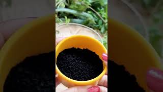 Download lagu Best Hair Mask For Long & Thick hair 😍 #shorts #ashucreativity mp3