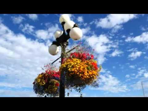 スターシップ-Nothing's Gonna Gonna Stop Us Now (CC/リリック機能付き) (Starship- Nothing's Gonna Stop Us Now (With CC /Lyric function))