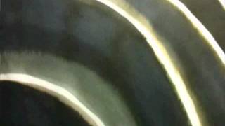 Last Great American Whale