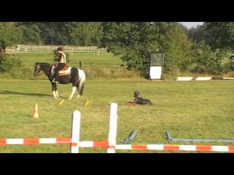 Lomitas und Deutsche Dogge Shiva - Horse & Dog Trail EWU Turnier Norderstedt 2011