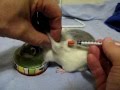 Подкожные уколы крысе Щуньке-Мышуньке от МШ 