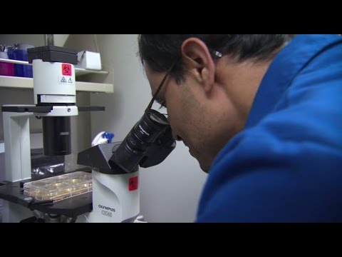 5 Intriguing Facts About Viruses | UCLA Health