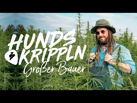 D'Hundskrippln - Großer Bauer (offizielles Video)