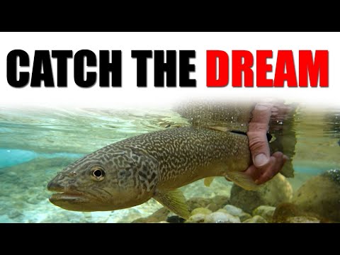 Marble Trout on the Soča River with Guide Uroš Kristan