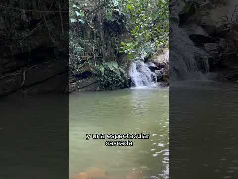 Finca La Macana: El Santuario Hídrico de Charalá | Inversión Élite en Santander.