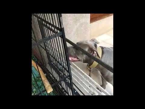 Kora And Koli Talk About Something Secret