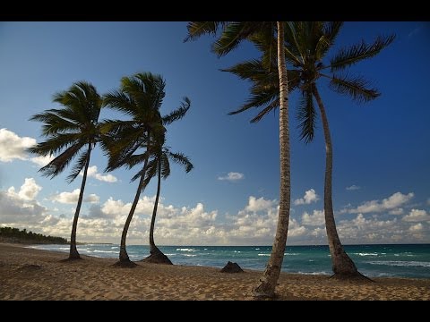 Путешествие в вечный праздник