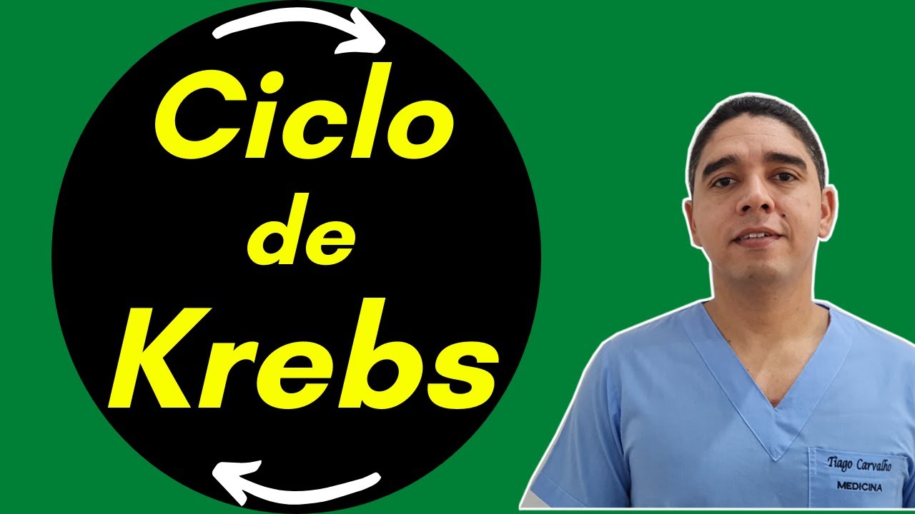 Ciclo de krebs - Passo a Passo