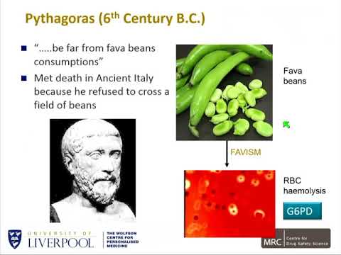 E07 2 Munir Pirmohamed: Implementation of pharmacogenomics in the clinic