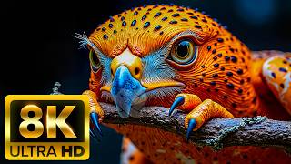 🐾 RELAXING ANIMAL WORLD 8K ULTRA HD (60FPS) – Calm Wildlife Journey