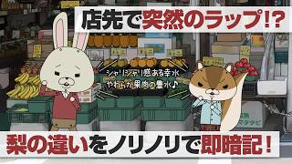 紙兎ロペ「梨の種類」編