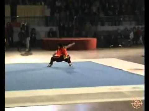 indians_martial_arts_gurukul_2.flv