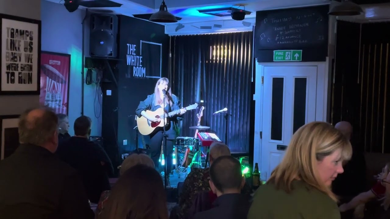 Annie Dressner - Leather Chair (Live)