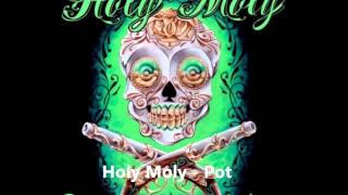 Holy Moly - Pot