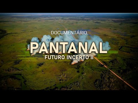 PANTANAL – Futuro Incerto II