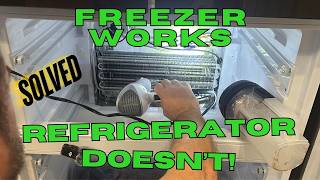 RV Freezer Works but Refrigerator Doesn't — Diagnose Everchill SRM-418CBG-E 12 Volt Refrigerator